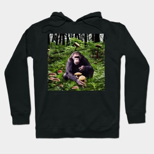 More Proof of the Stoned Ape Theory Hoodie